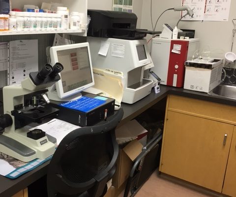 Comprehensive In-house Laboratory & Biochemistry Suite